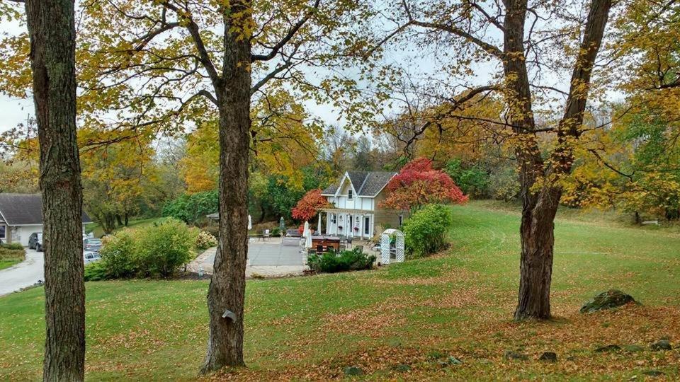 Clyde Hall Bed&Breakfast Bed and Breakfast Lanark Eksteriør billede